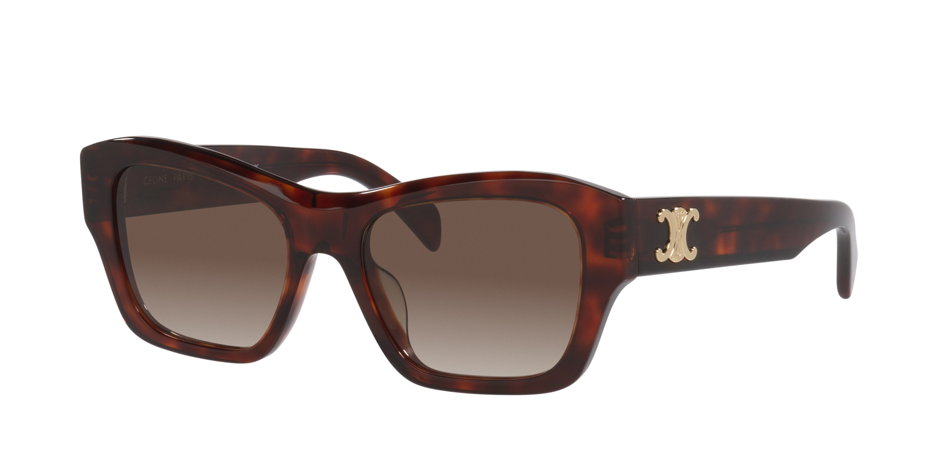Celine Triomphe CL40330U S (54 - 18) with Brown lenses and 