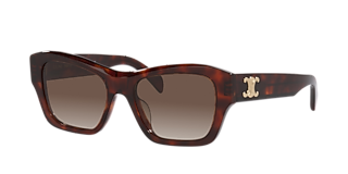 ◆◆CELINE セリーヌ サングラス 56□21 145 CL40198F ブラウン系 Celine CL40198F XL (56 - 21) with Grey lenses and Black frame