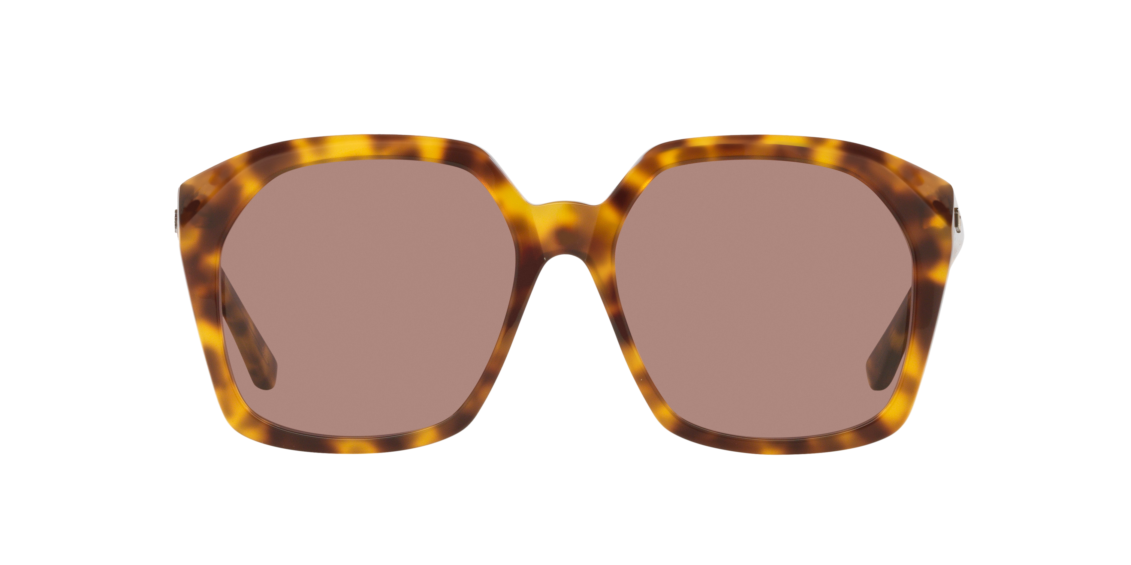 Chloé Woman Sunglass Ch0280s In Purple