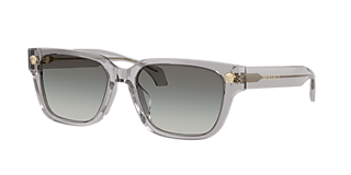 Versace VE2226 Gold Frame Sunglasses with Grey Lenses Versace VE2226 XXL (0 - 145) with Grey lenses and Gold frame  main image 4