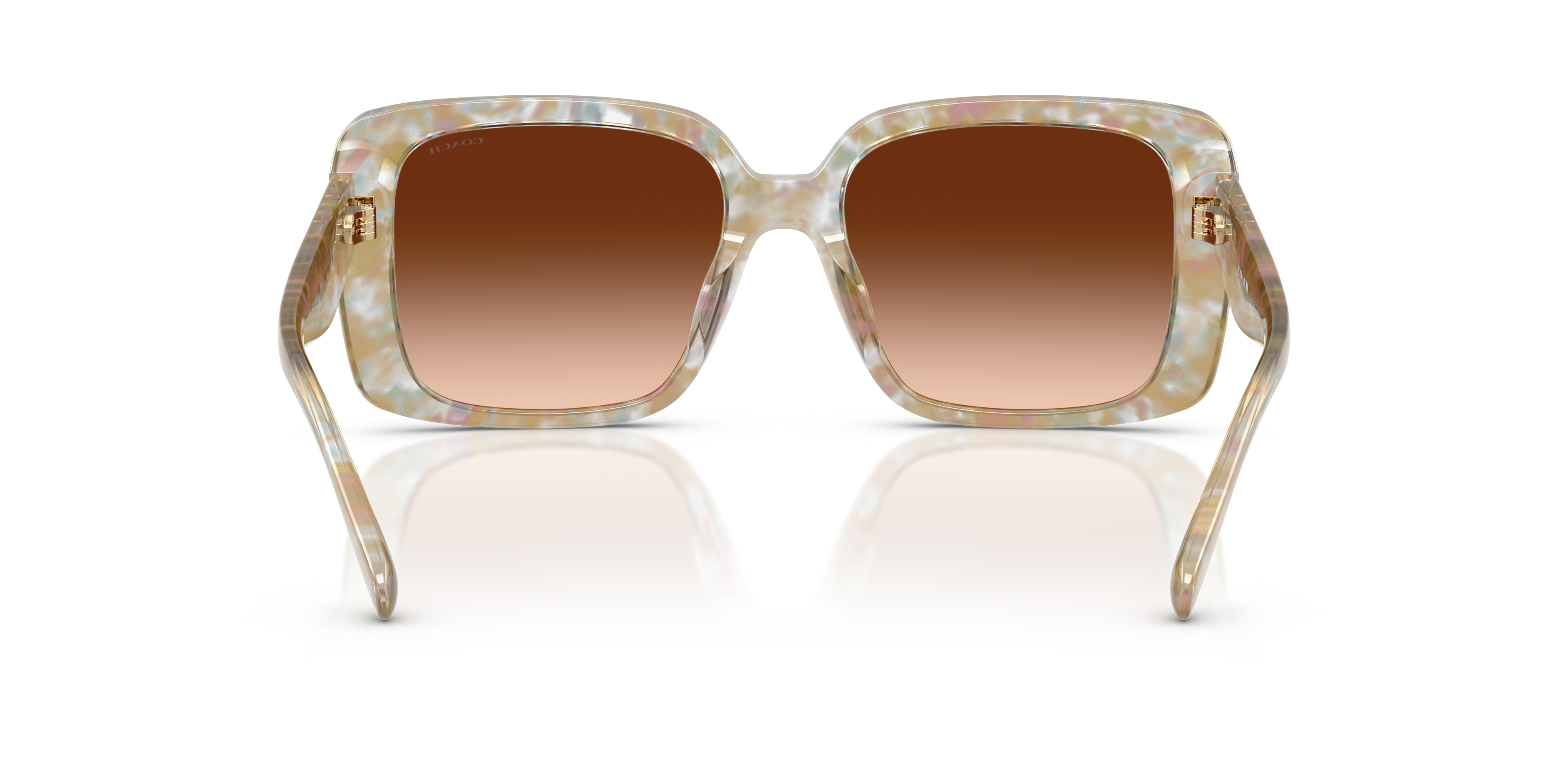 Coach Woman Sunglass Hc8424u Cad54 In Neutral