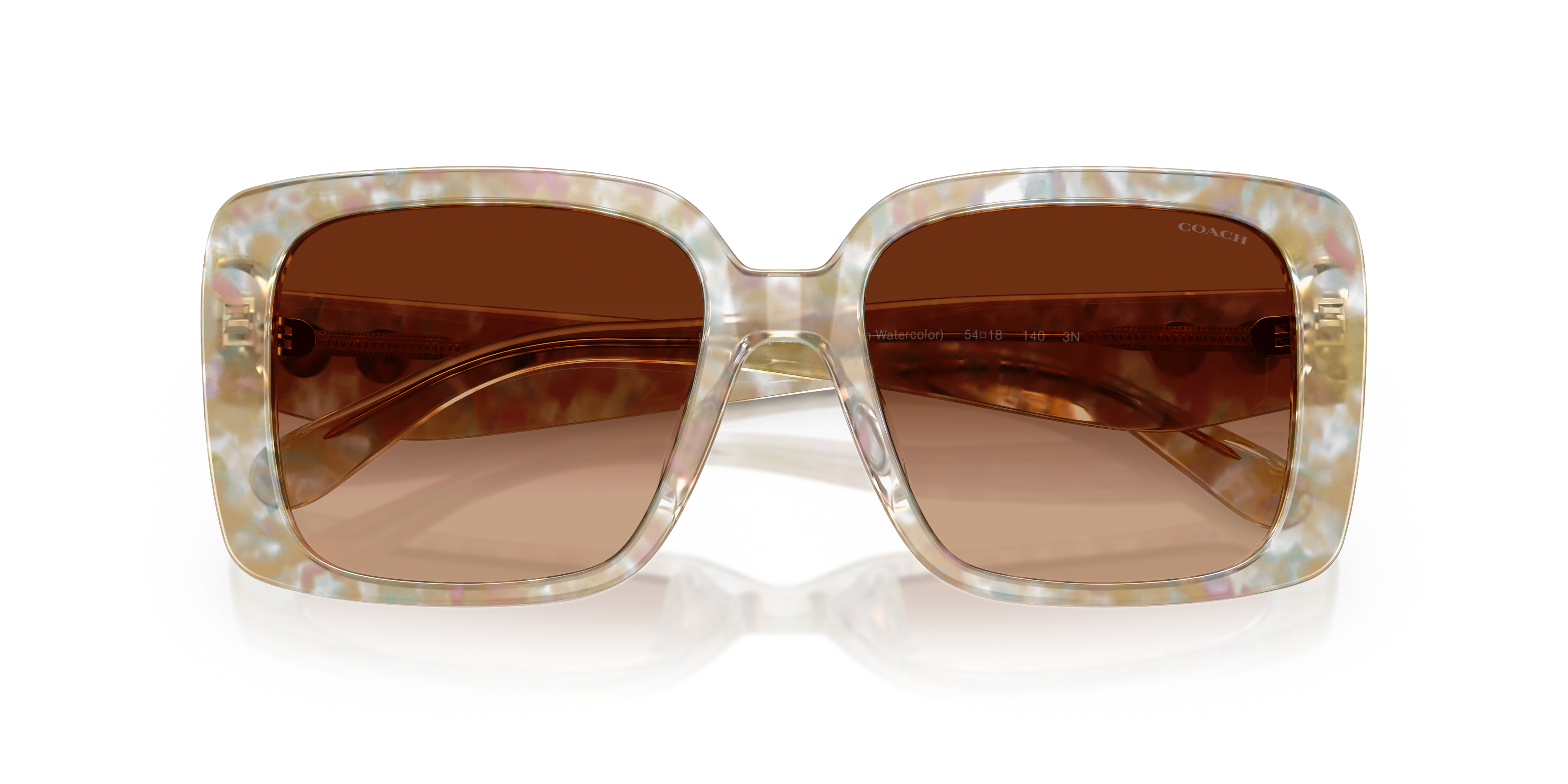 Coach Woman Sunglass Hc8424u Cad54 In Neutral