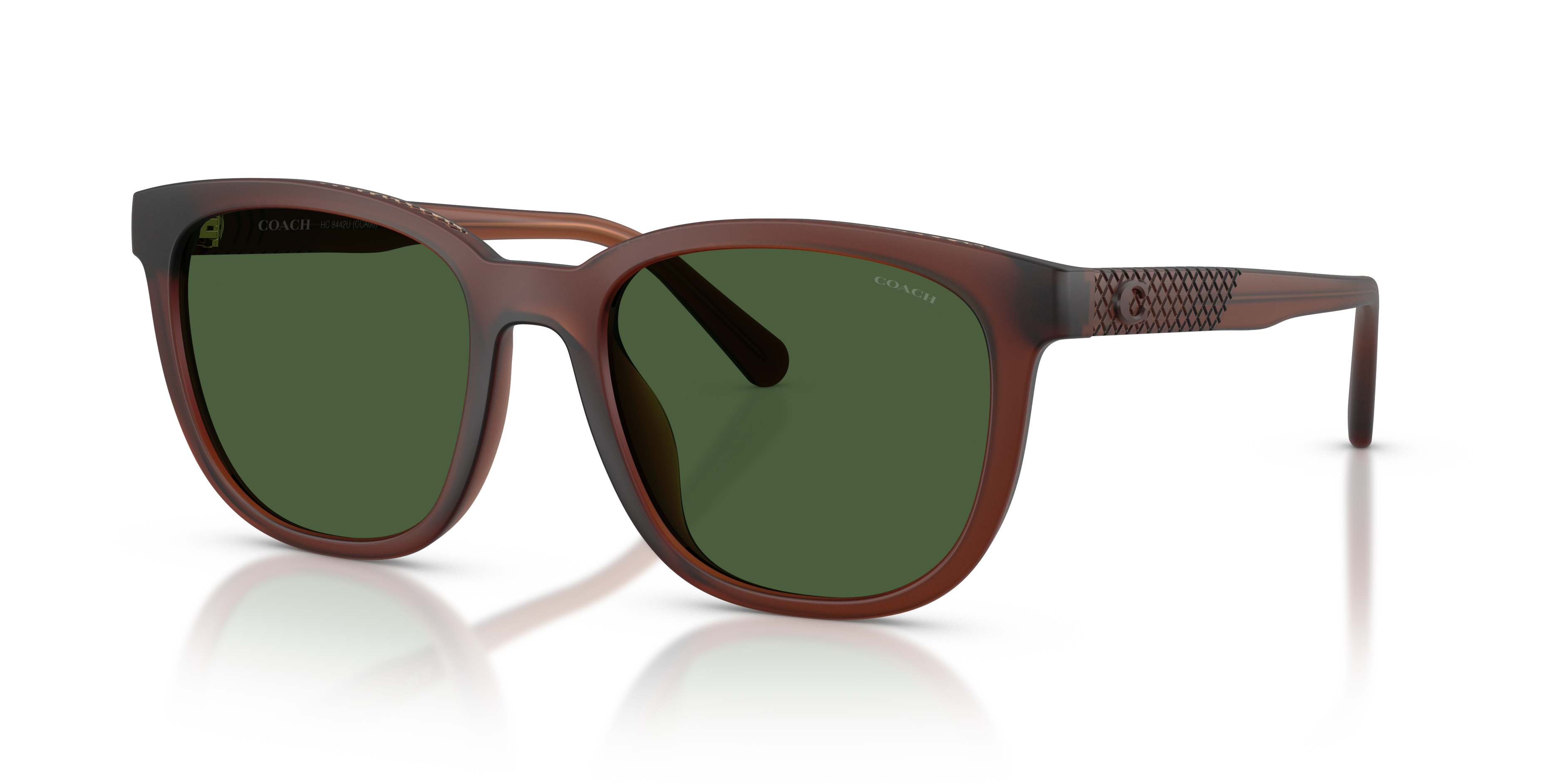 Coach HC8442U CCA00 L (54 - 19) with Green lenses and Brown frame