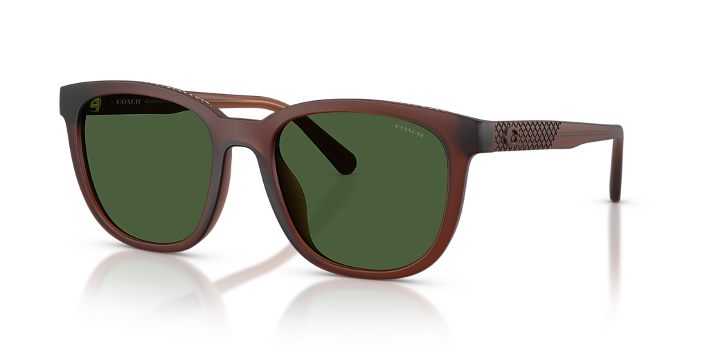 Coach HC8442U CCA00 L (54 - 19) with Green lenses and Brown frame