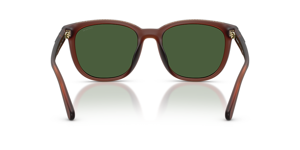 Stylish coach Brown and green Sunglasses n case Coach | Accessories | Stylish Coach Brown And Green  main image 2