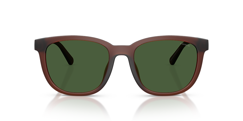 Coach HC8442U CCA00 L (54 - 19) with Green lenses and Brown frame
