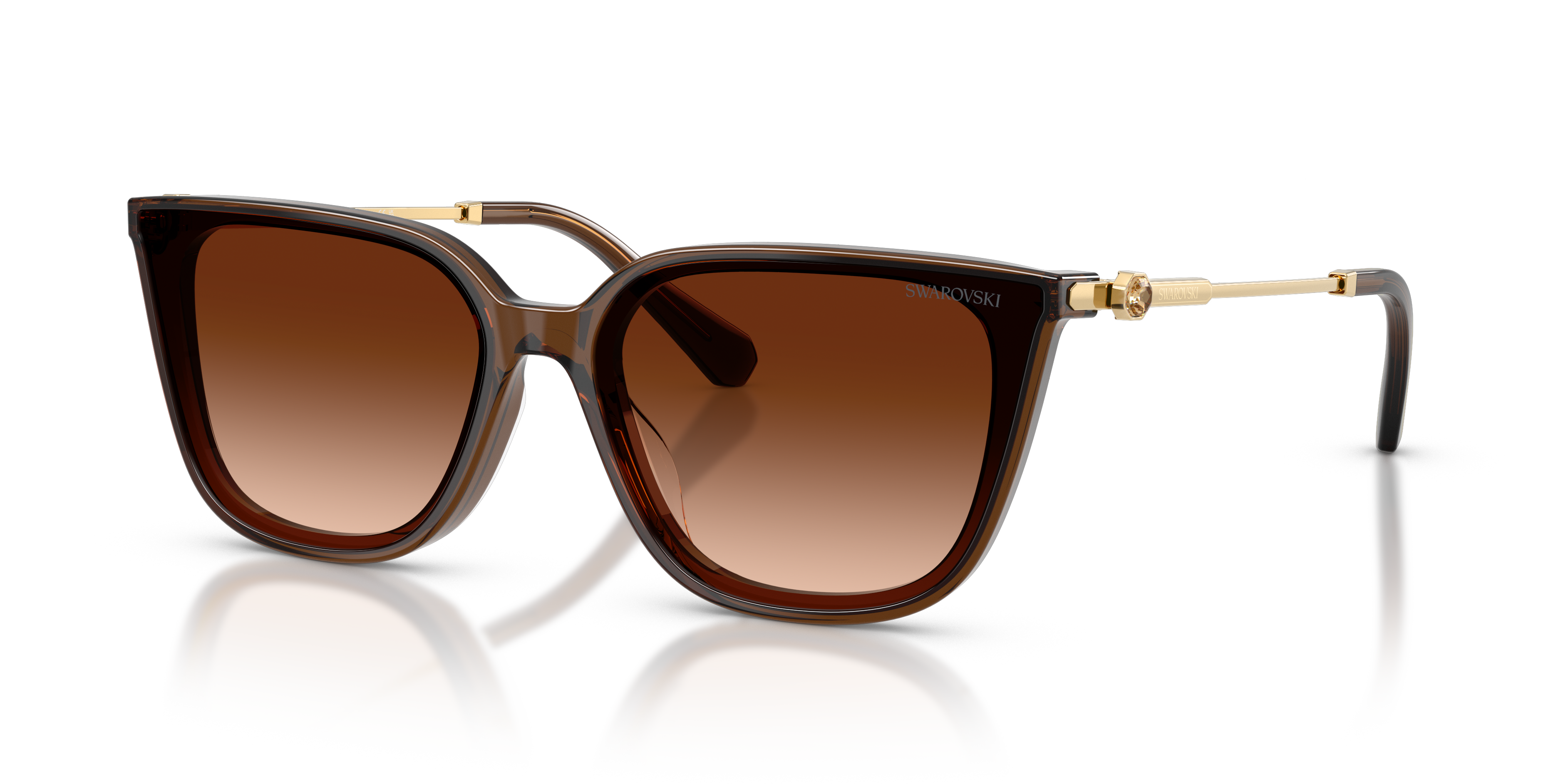 Swarovski SK6054D XXL (63 - 15) with Brown lenses and Brown frame