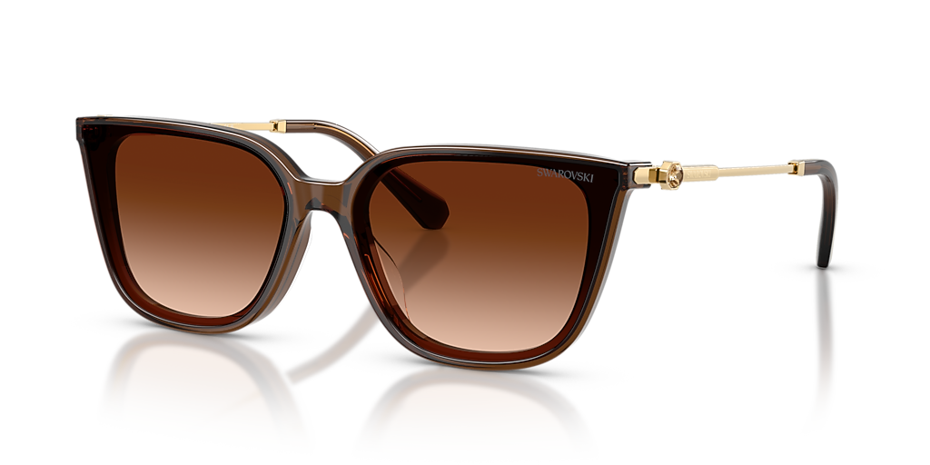 Swarovski SK6054D XXL (63 - 15) with Brown lenses and Brown frame