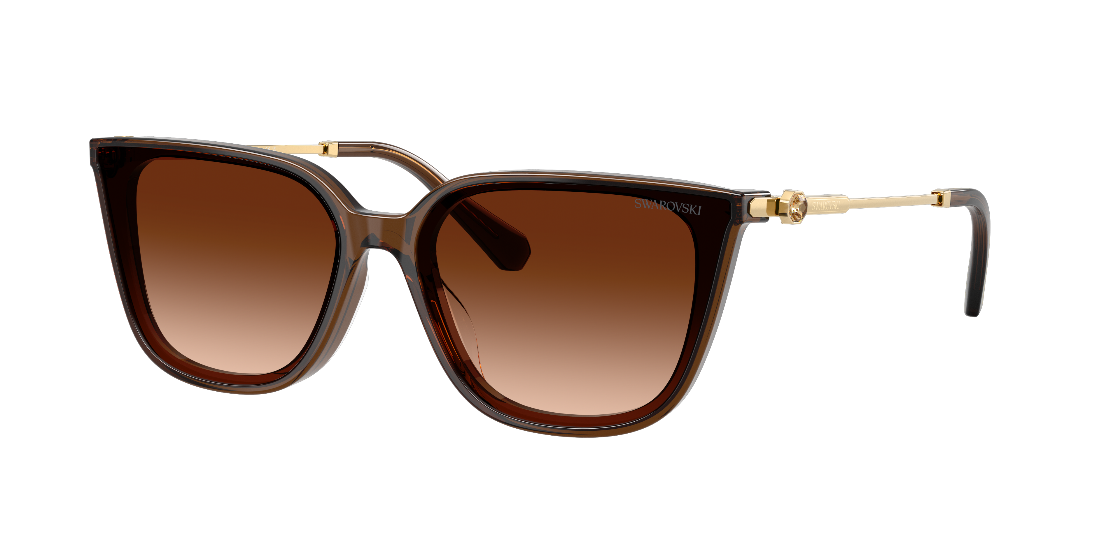 クリスタル Swarovski SK6054D XXL (63 - 15) with Brown lenses and Brown frame
