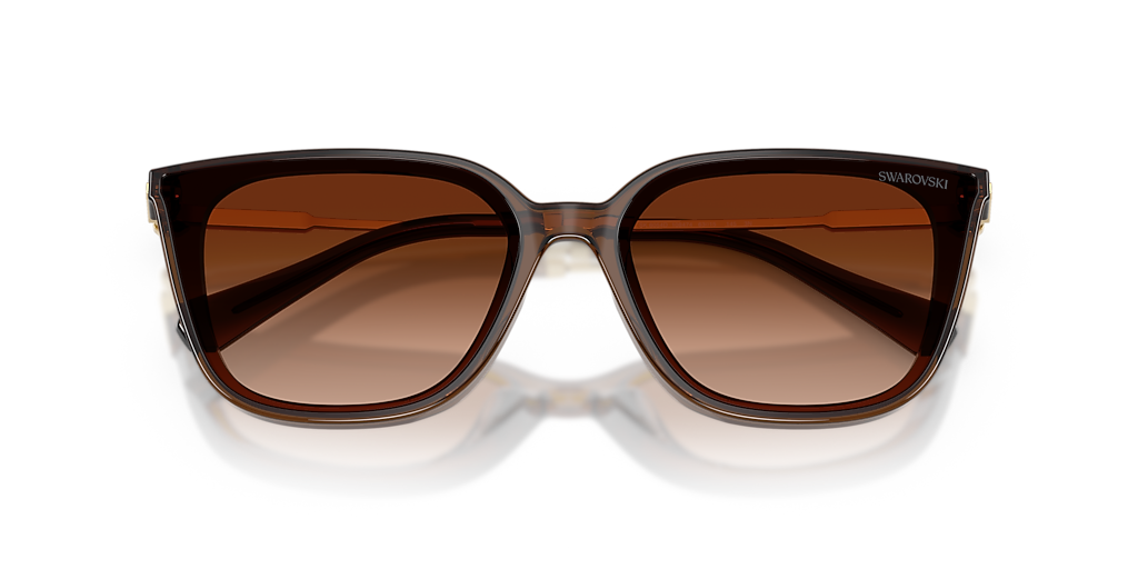 Swarovski SK6054D XXL (63 - 15) with Brown lenses and Brown frame