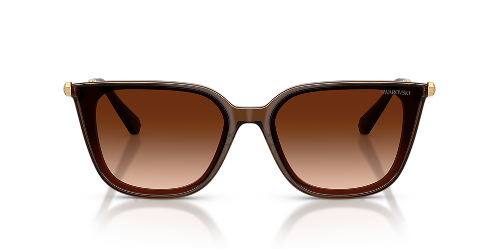 Swarovski SK6054D XXL (63 - 15) with Brown lenses and Brown frame