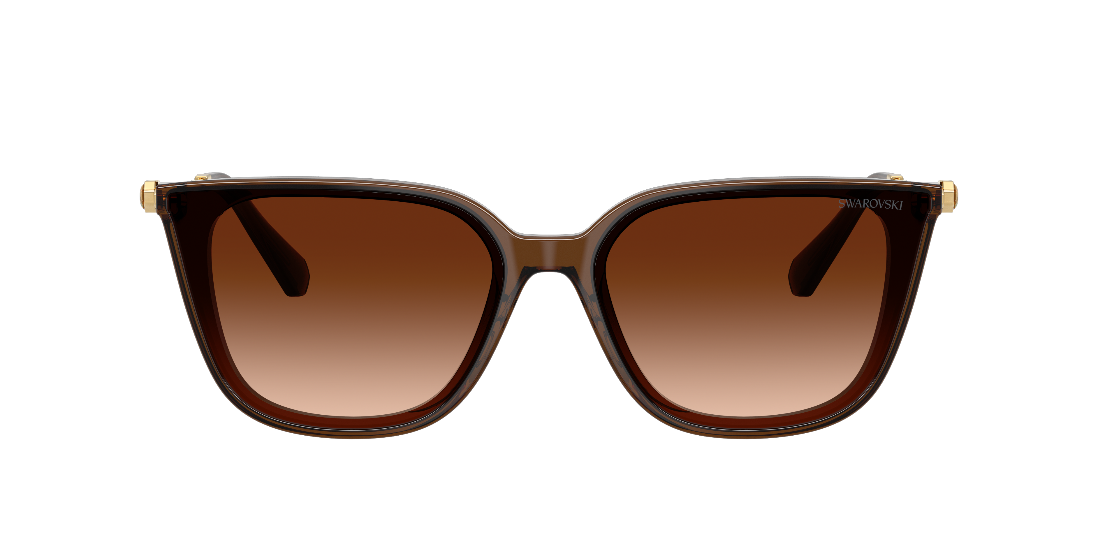 Swarovski SK6054D XXL (63 - 15) with Brown lenses and Brown frame