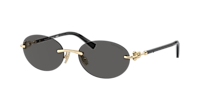 Tiffany & Co. TF3104D L (56 - 18) with Grey lenses and Gold