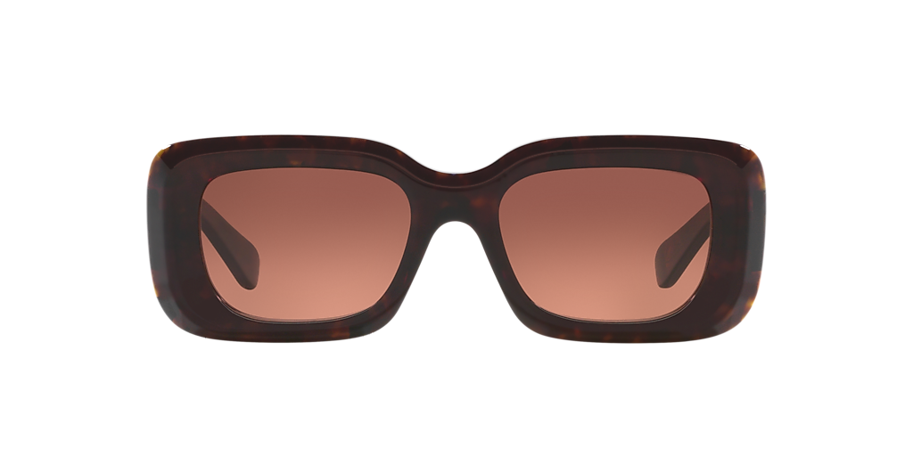 Chloé CH0188S XS (51 - 19) with Copper lenses and Tortoise