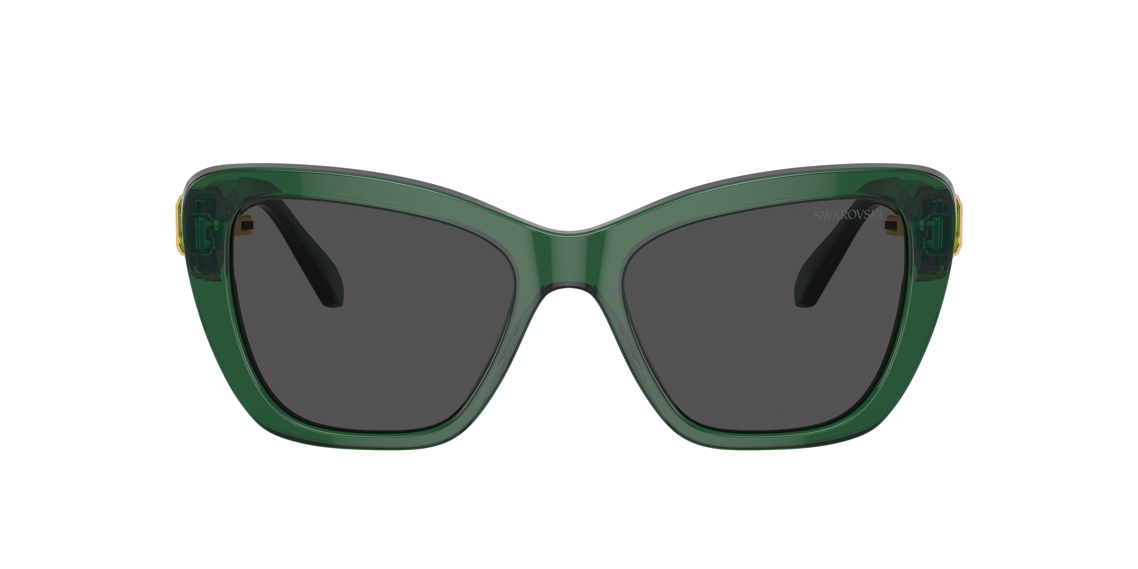 Swarovski SK6018 XXS (52 - 18) with Grey lenses and Green