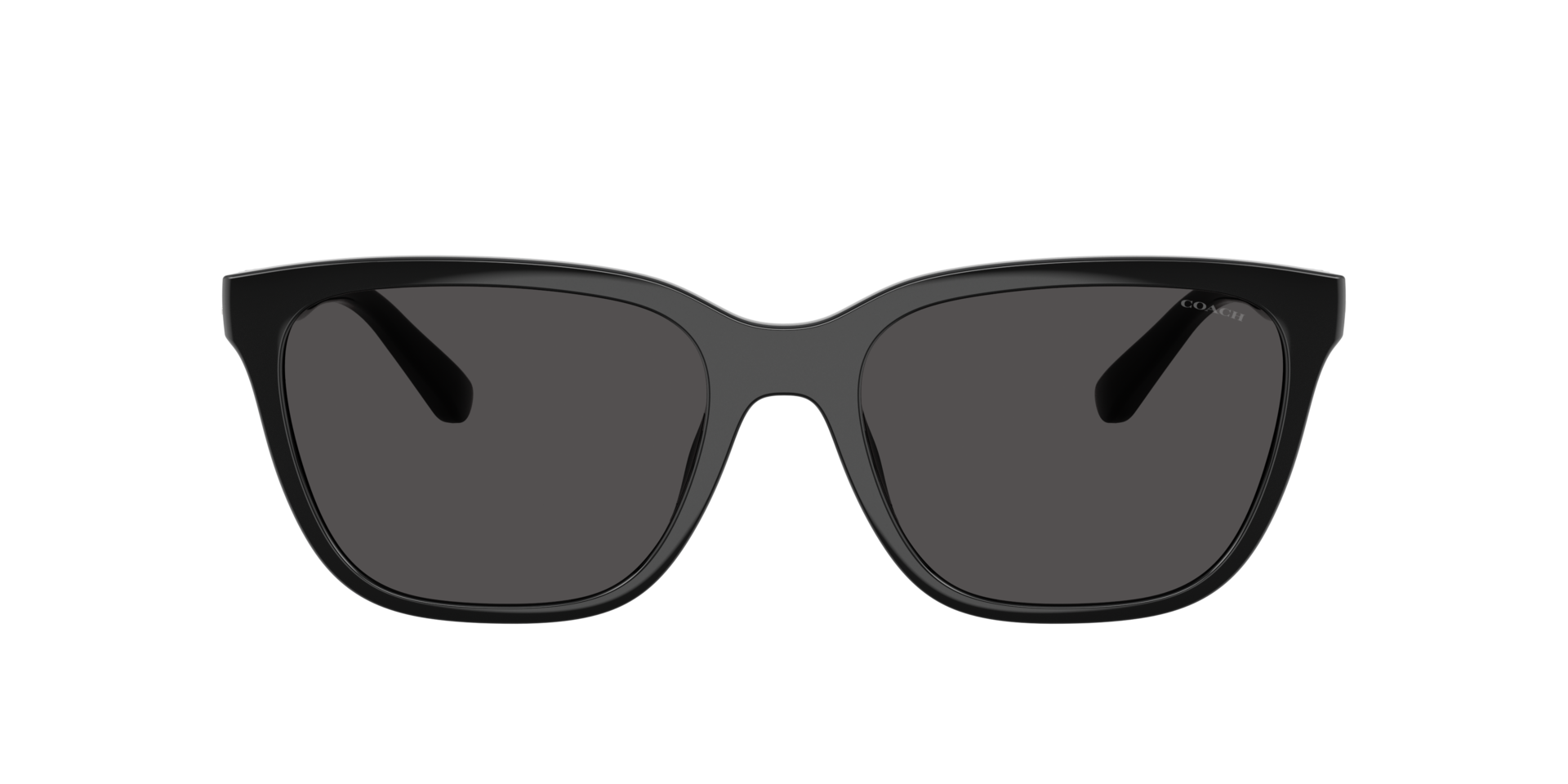COACH HC8429D Black Women\'s Sunglasses 56mm 18mm 145mm Coach HC8429D 50023C 56 Sunglasses | Shade Station main image 4