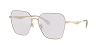 Coach HC7168 CW189 XL (58 - 16) with Grey lenses and Gold