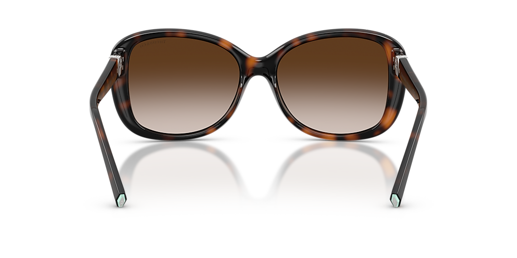 Tiffany & Co. TF4257U L (56 - 16) with Brown lenses and Tortoise