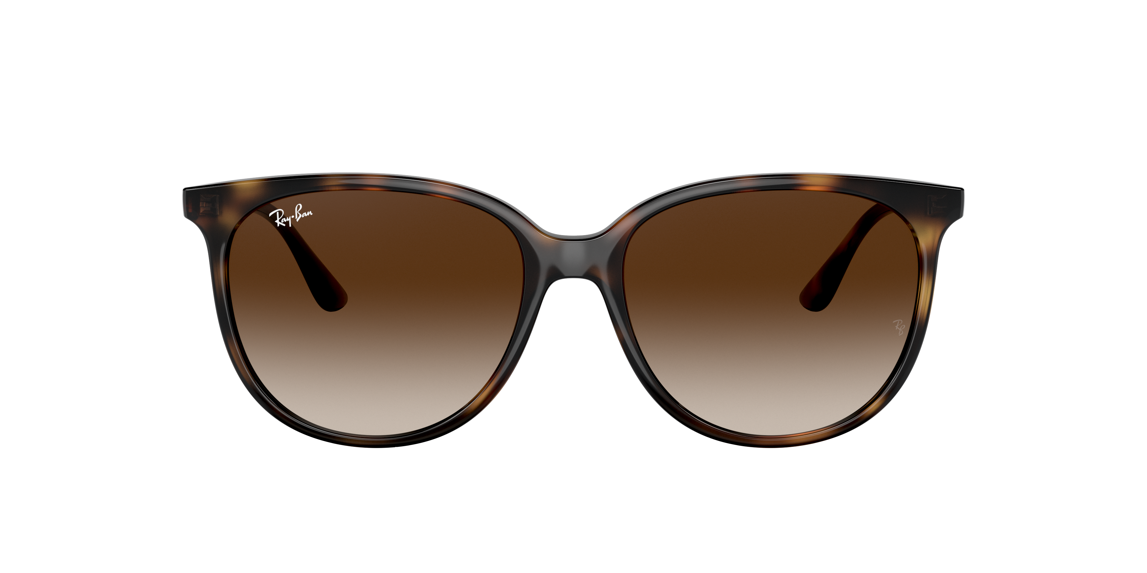 Ray-Ban RB4378 S (54 - 16) with Brown lenses and Tortoise frame