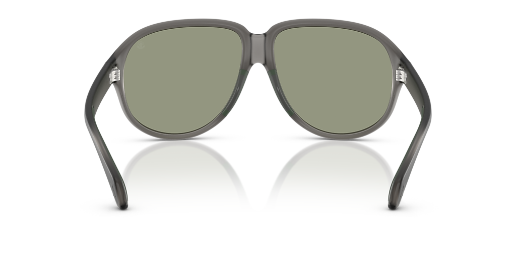Moncler ME8001 Halcyonne L (60 - 14) with Green lenses and