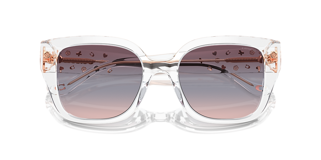 【COACH】Women's Sunglasses, Cr611 Hc8392U Coach HC8377U CL925 XXL (55 - 18) with Violet lenses and