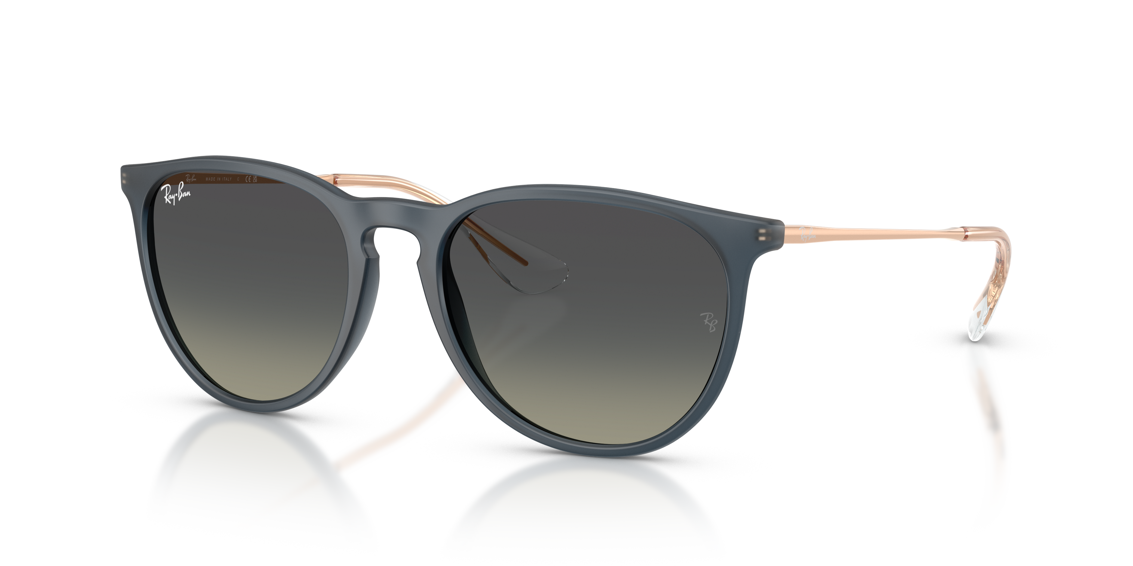 RB4171F Erika Classic