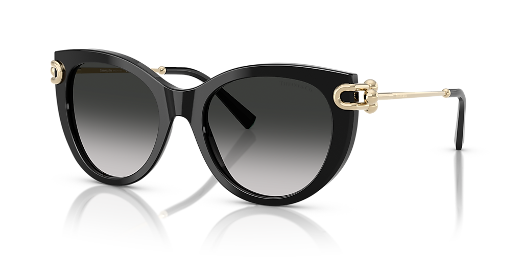 Tiffany & Co. TF4232 XXL (53 - 19) with Grey lenses and Black