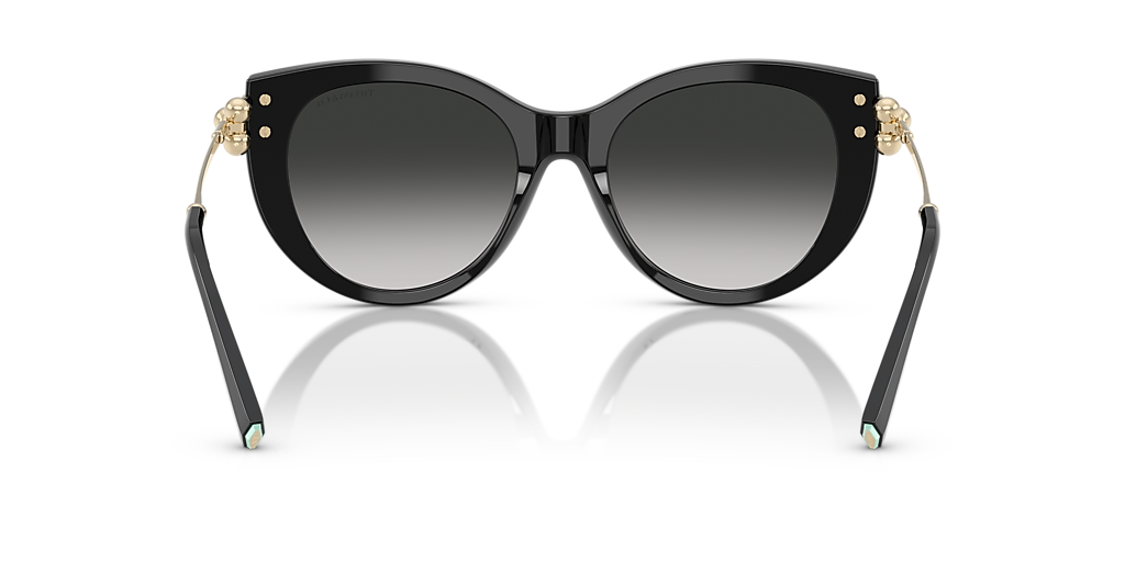 その他 F&B Light & Shadow Convention Exclusive Sunglasses Michael Kors MK2182U Empire Square | Free