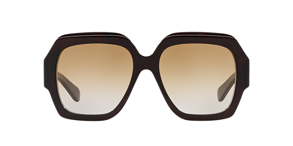 Chloé CH0154S M (56 - 17) with Brown lenses and Tortoise