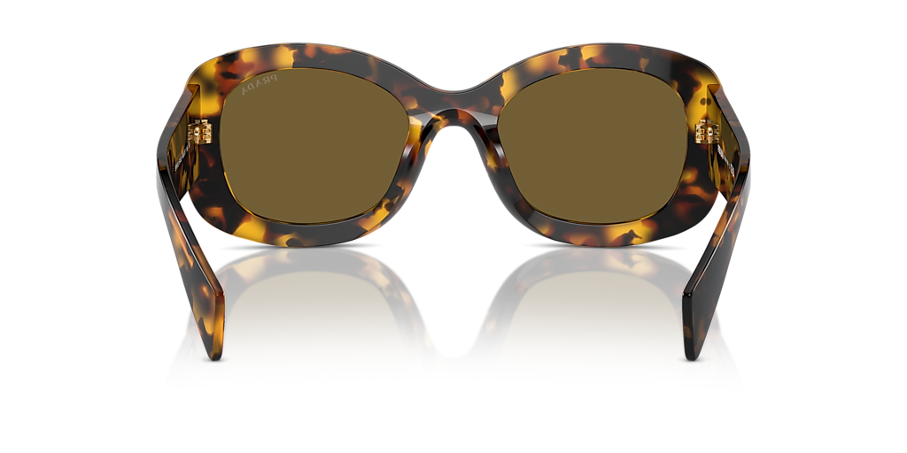 Prada PR A13S L (54 - 23) with Brown lenses and Tortoise