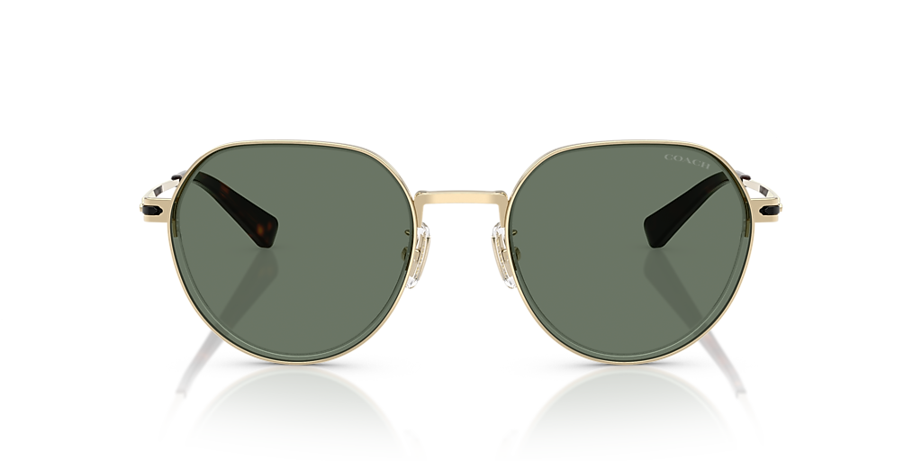 Coach HC7179 CAE81 L (52 - 21) with Green lenses and Gold  display picture 2