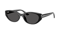 Ray-Ban RB4457D Bio-Based L (55 - 19) with Grey lenses and Black