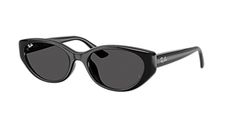 Ray-Ban RB4457D Bio-Based L (55 - 19) with Grey lenses and Black