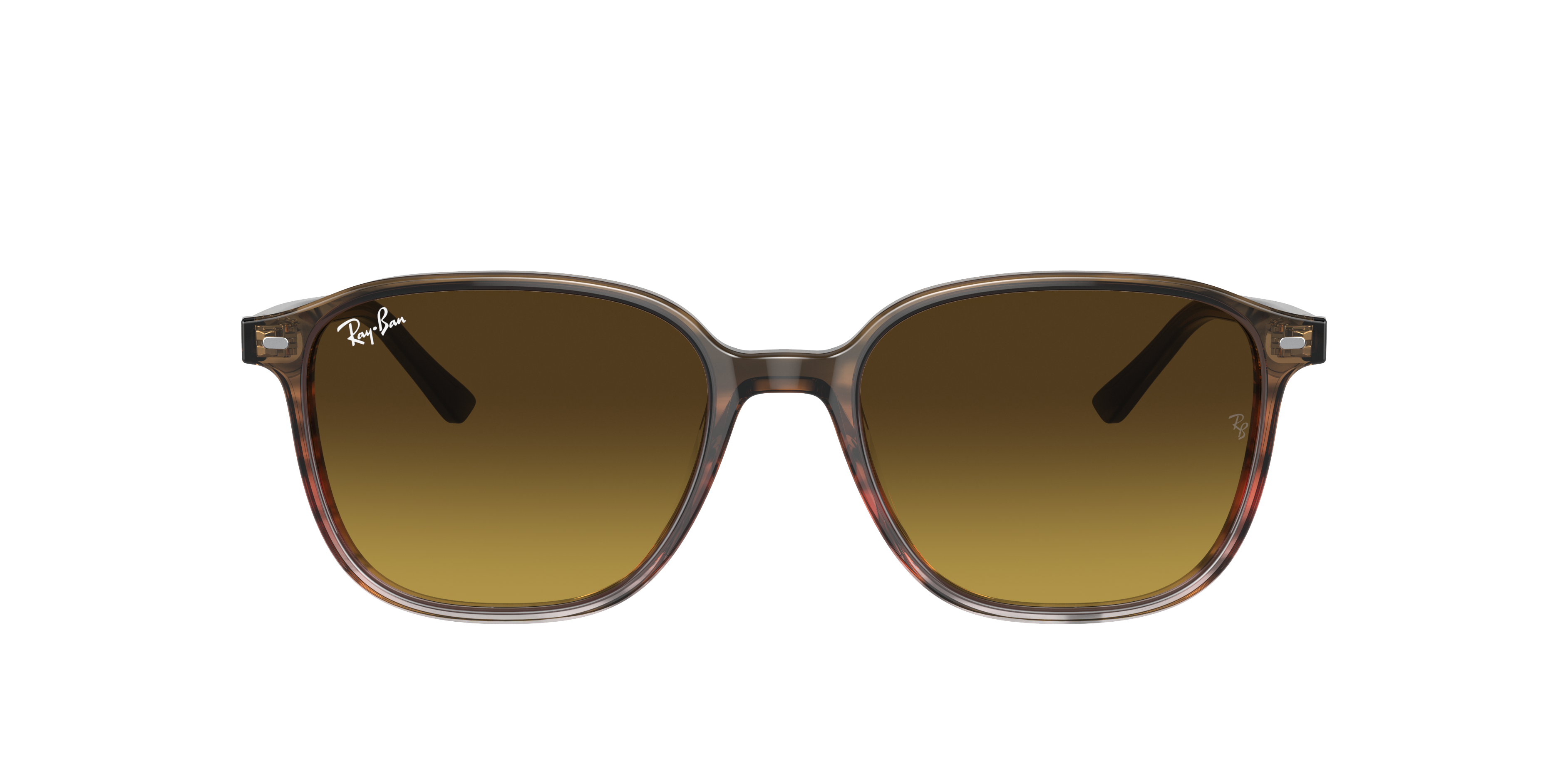 Ray-Ban Leonard M (53 - 18) with Brown lenses and Brown frame