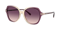 Coach HC8377U CL925 XXL (55 - 18) with Brown lenses and