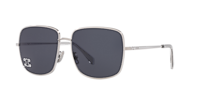 【送料&関税込】Celine CL40284U Sunglasses - Unisex Celine Rhinestone Triomphe Square Sunglasses CL40284U Frame