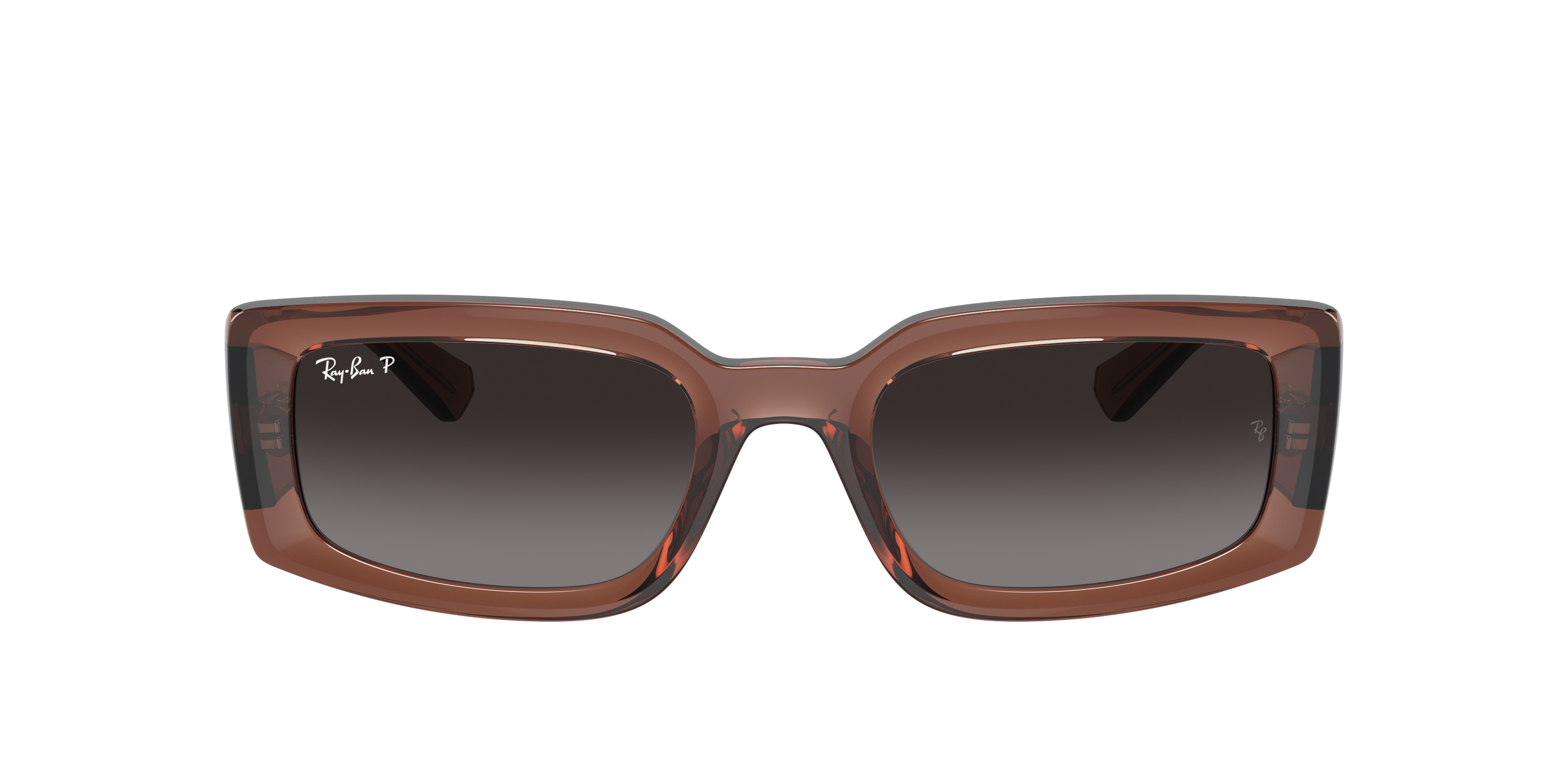 Ray Ban Ray In Brown