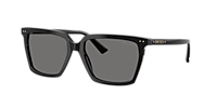 Jimmy Choo JC5051 M (55 - 17) with Grey lenses and Black frame