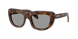 Prada PR 19ZS M (55 - 17) with Brown lenses and Tortoise frame