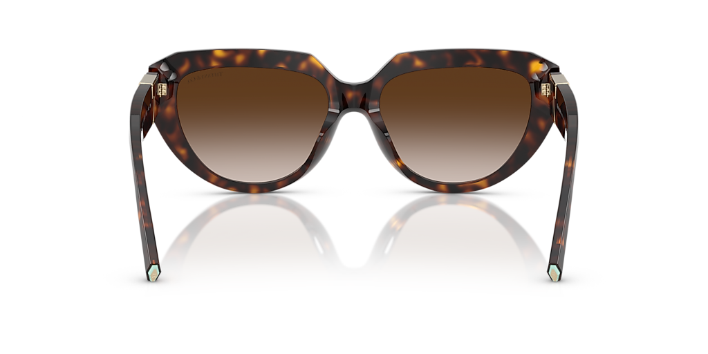 Tiffany & Co. TF4238U L (55 - 17) with Brown lenses and Tortoise