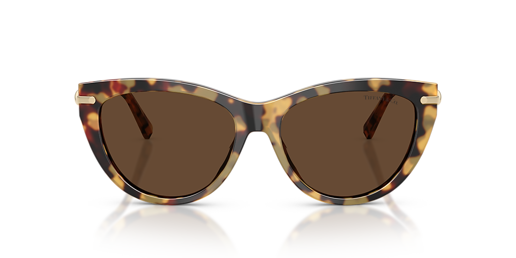 Tiffany & Co. TF4253 XL (55 - 16) with Brown lenses and  display picture 3