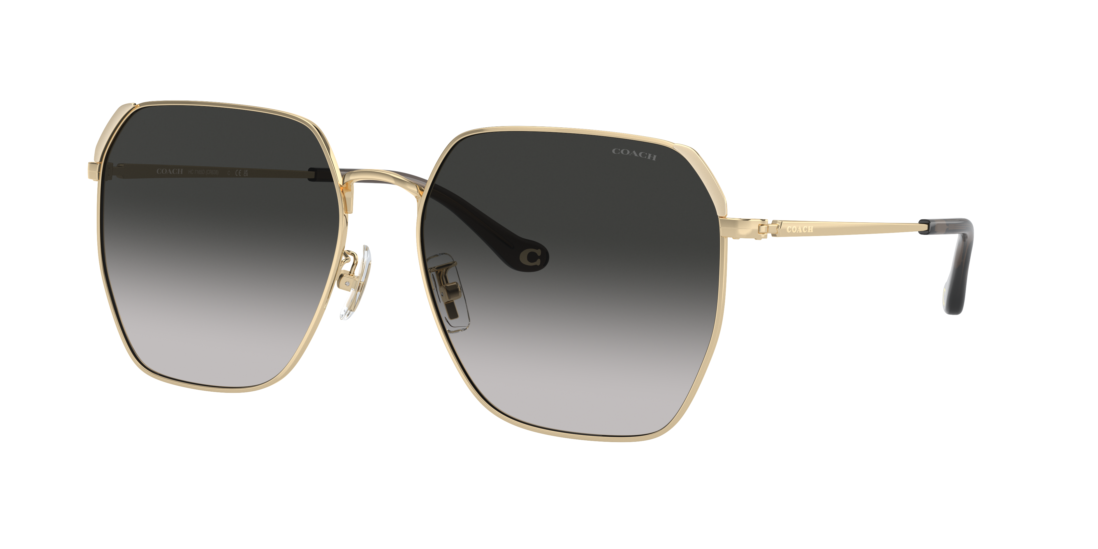 Coach HC7165D CR638 XXL (60 - 17) with Grey lenses and Gold frame