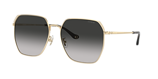 Coach HC7168 CW189 XL (58 - 16) with Grey lenses and Gold frame