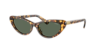 Polo Ralph Lauren PH4199U Shiny Havana Dark Green Sunglasses 54-16-145 Polo Ralph Lauren PH4199U Shiny Havana Dark Green Sunglasses  main image 4