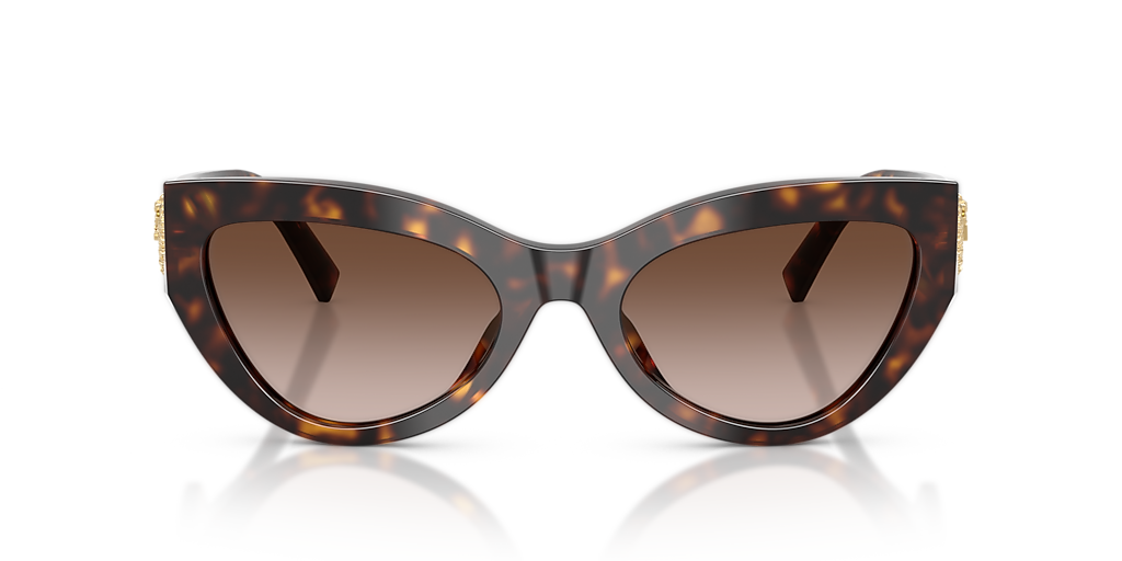 Dolce&Gabbana DG4536 L (55 - 20) with Brown lenses and Tortoise