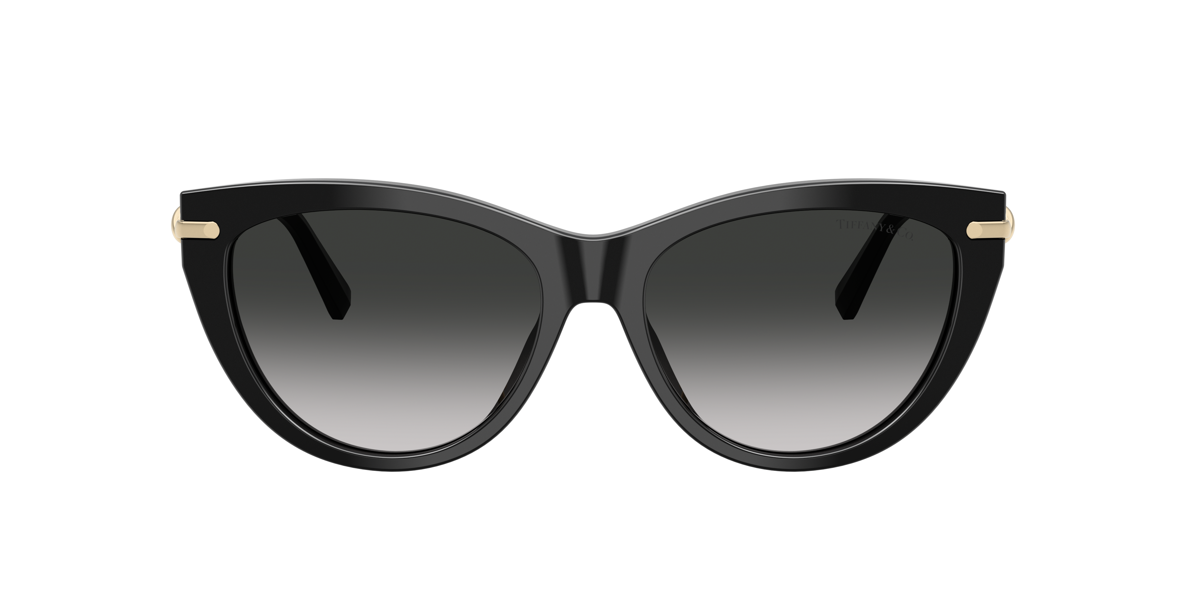 Tiffany & Co . Woman Sunglass Tf4253 In Black