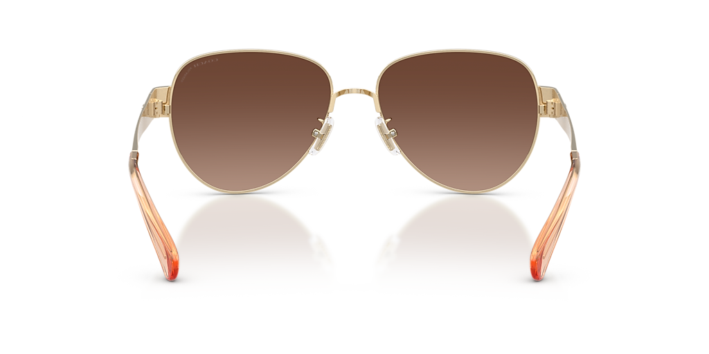 Coach CDP37 L (57 - 16) with Brown lenses and Gold frame 