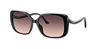 Coach HC8376U CL929 M (56 - 16) with Grey lenses and Black