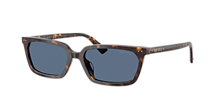 Jimmy Choo JC5003 M (55 - 16) with Brown lenses and Brown