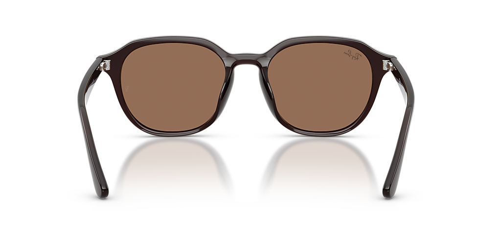 Ray-Ban RB4459D XL (54 - 19) with Brown lenses and Brown frame